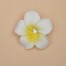 Broche Boutonnière fleur de tiaré BRO363
